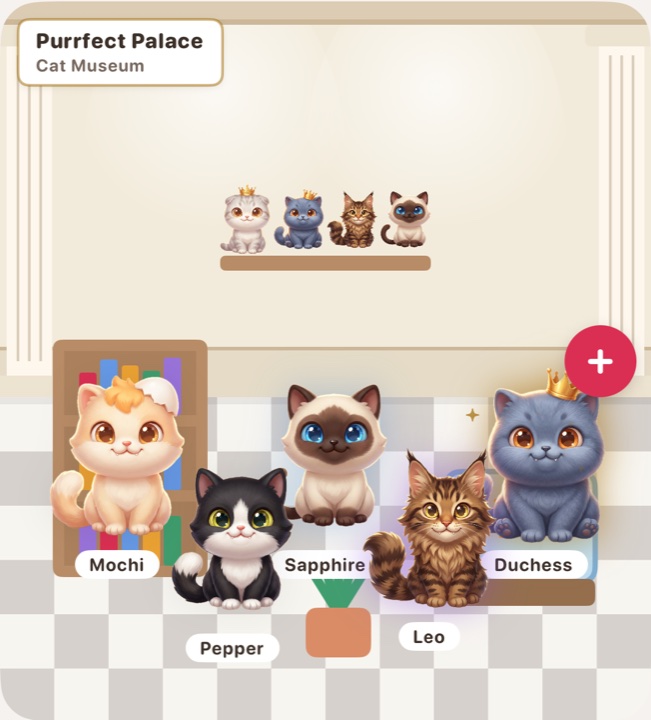 Cats in the Cat Museum